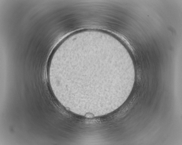 X0000115030887200912071046