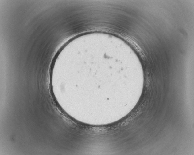 X0000115030888200912071046