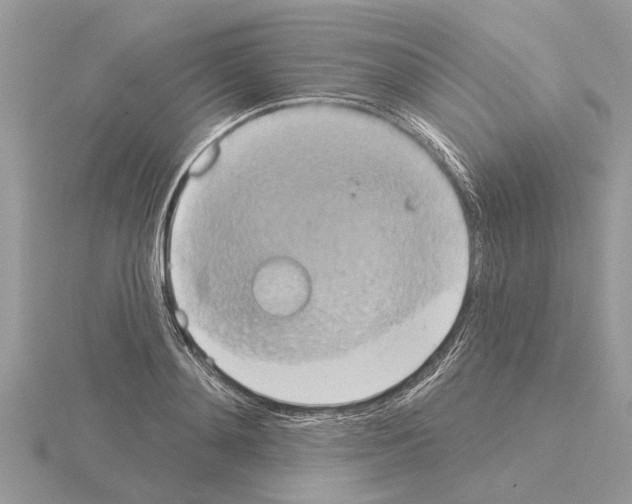 X0000115030892200912071046