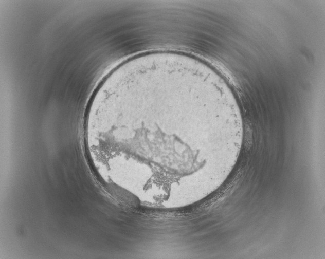 X0000115030895200912071046