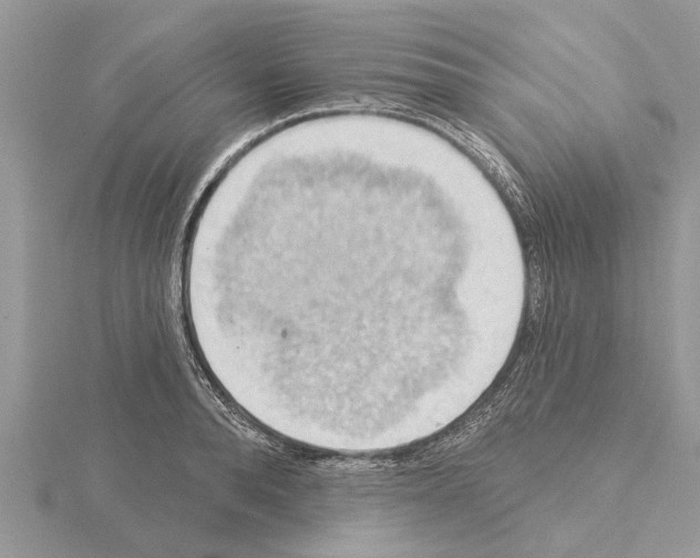 X0000115030896200912071046