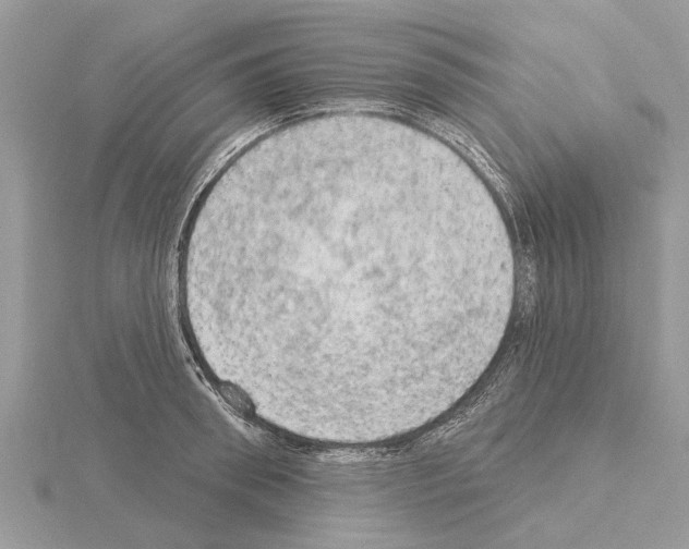 X0000115030898200912071046