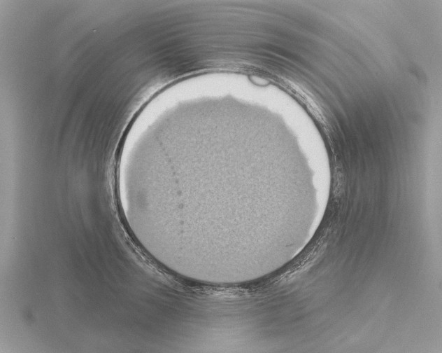 X0000115030899200912071046