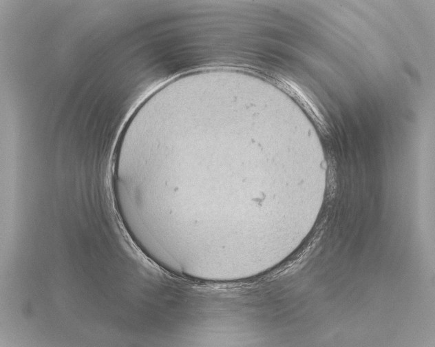 X0000115030900200912071046