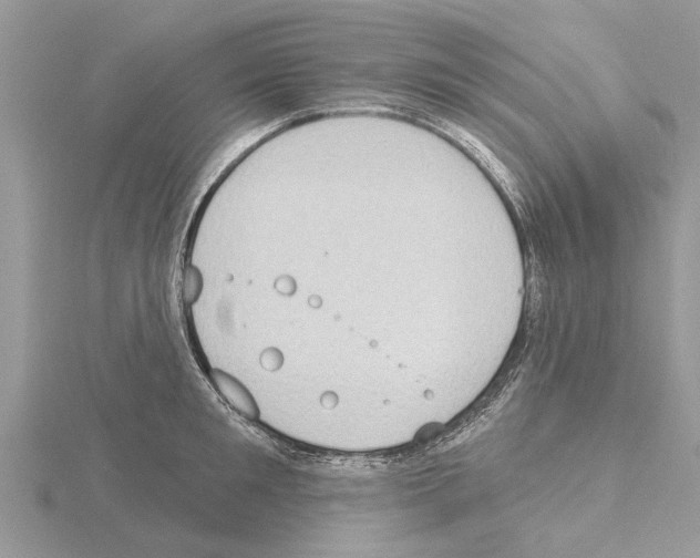 X0000115030901200912071046