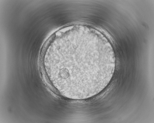 X0000115030902200912071046