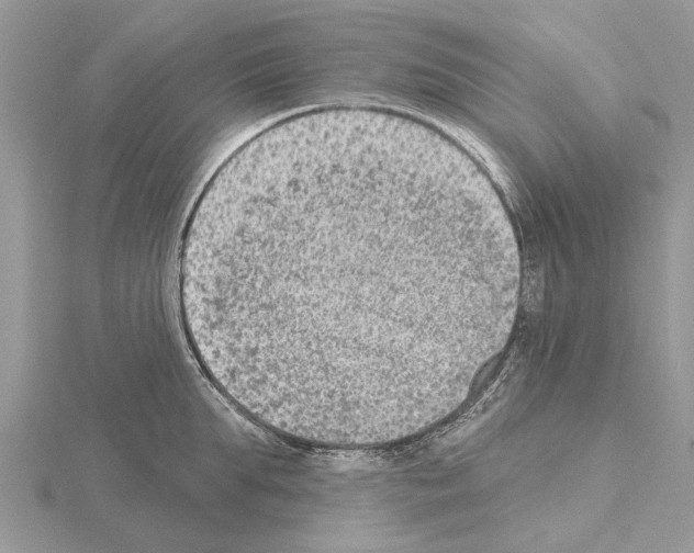 X0000115030903200912071046