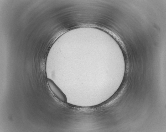 X0000115030905200912071046