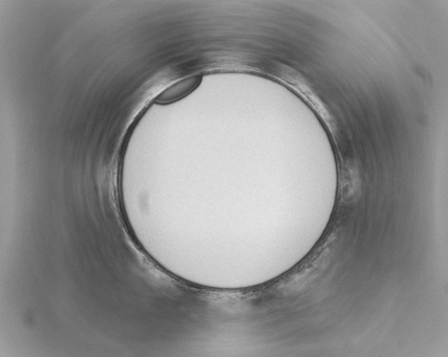 X0000115030909200912071046