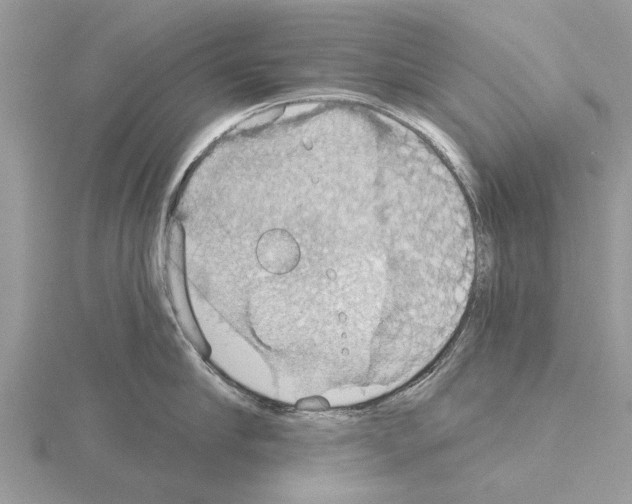 X0000115030910200912071046