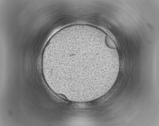 X0000115030911200912071046