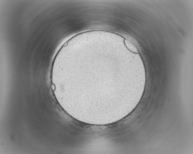 X0000115030912200912071046