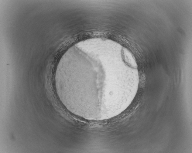 X0000115030913200912071045