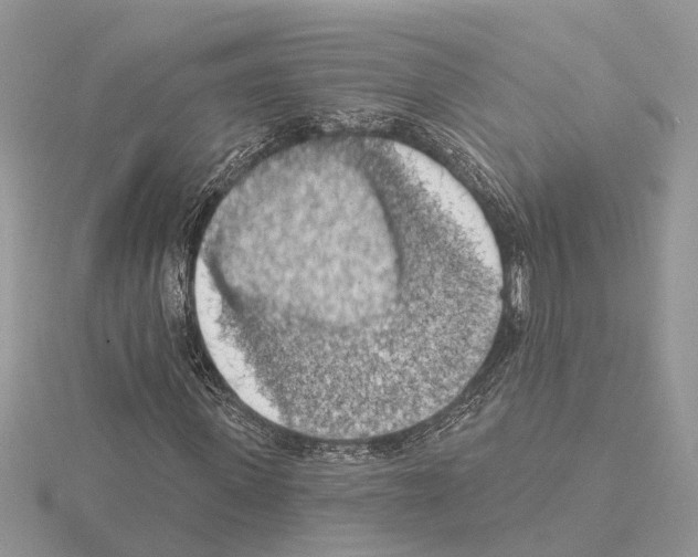 X0000115030915200912071045