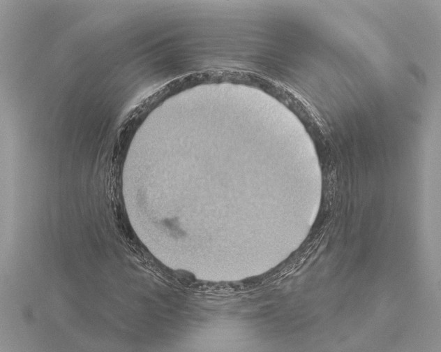 X0000115030919200912071045