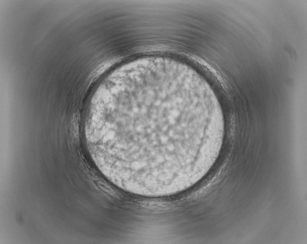 X0000115030921200912071045