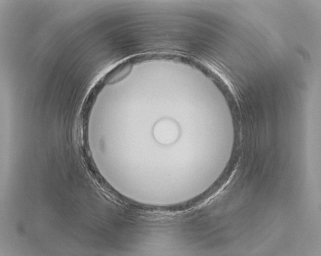 X0000115030925200912071045