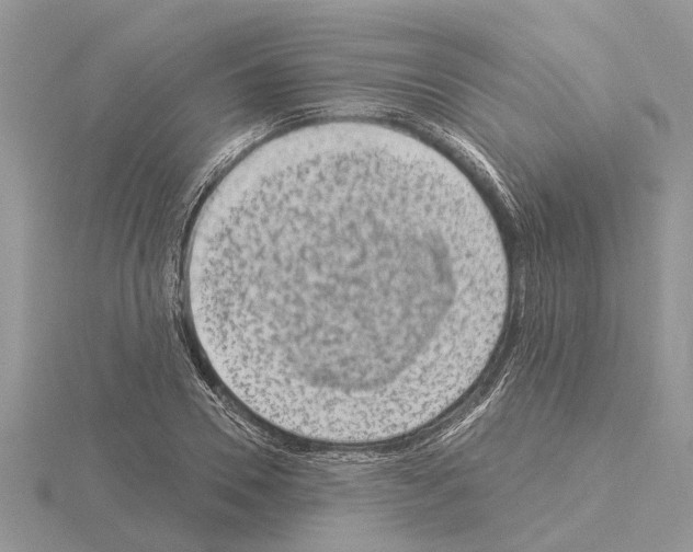 X0000115030930200912071045