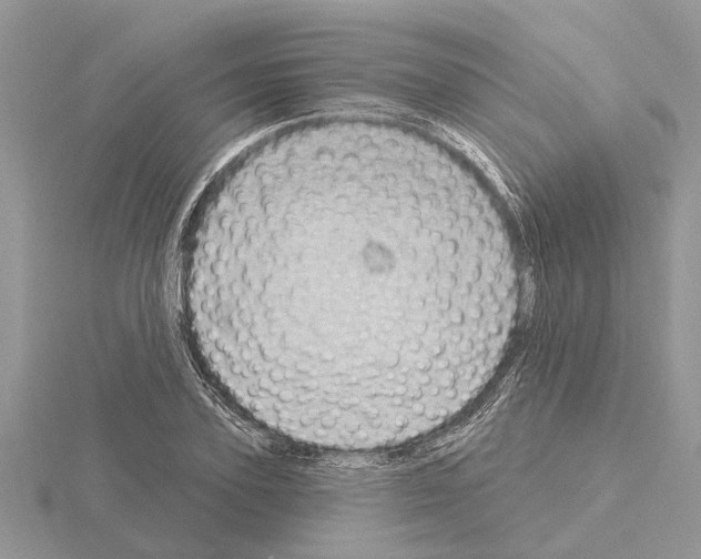 X0000115030931200912071045