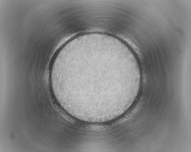 X0000115030933200912071045