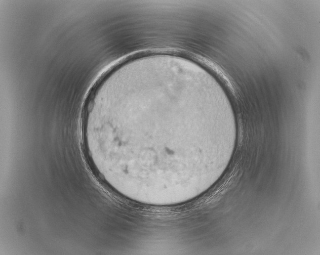 X0000115030935200912071045