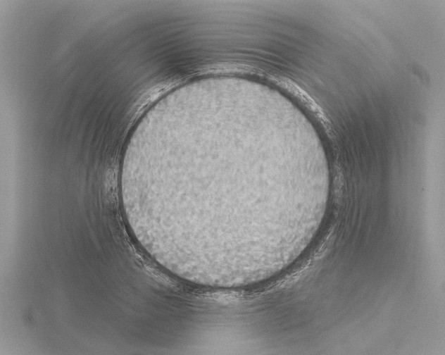 X0000115030937200912071045