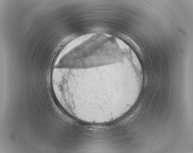 X0000115030938200912071045