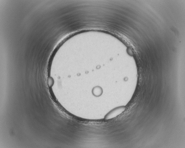 X0000115030942200912071045