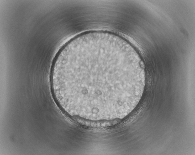 X0000115030943200912071045