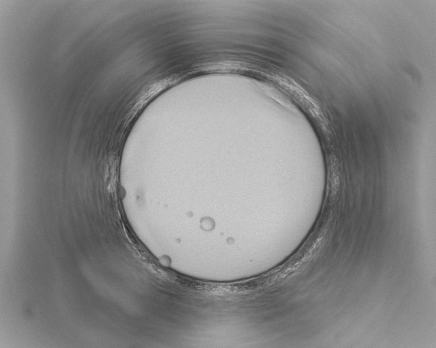 X0000115030945200912071045