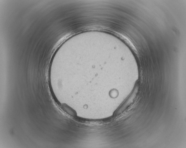 X0000115030946200912071045