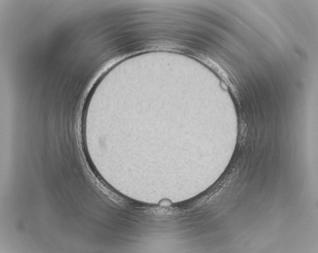 X0000115030947200912071045