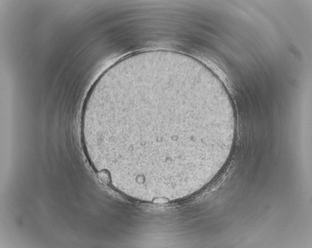 X0000115030949200912071045