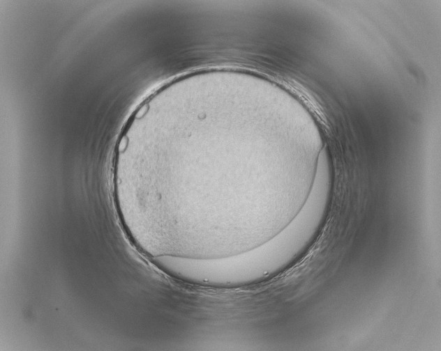 X0000115030950200912071045