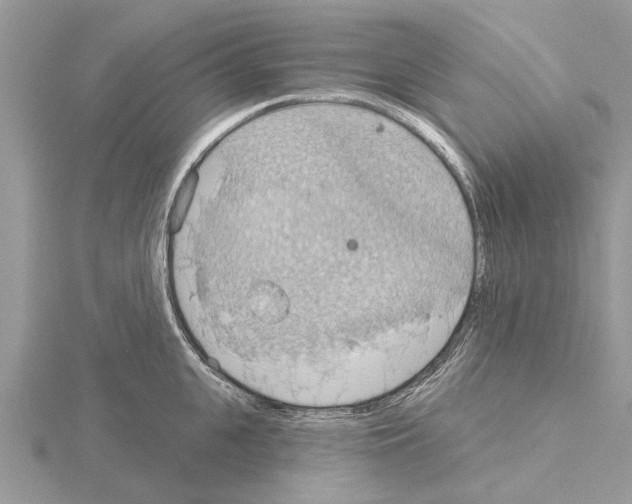 X0000115030951200912071045