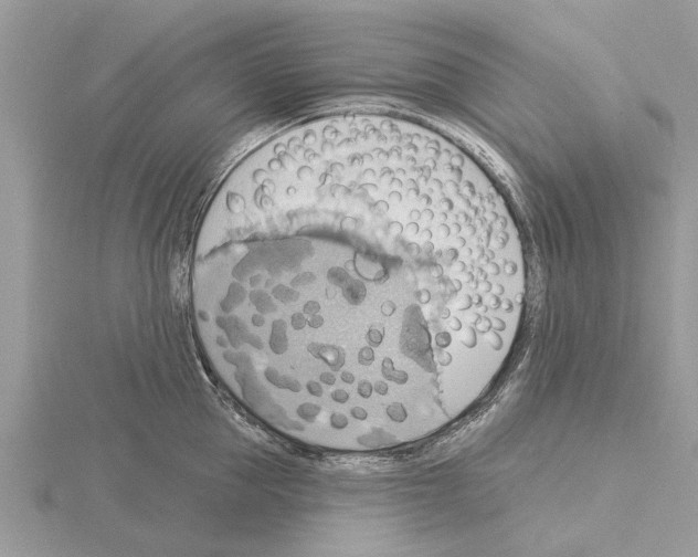 X0000115030953200912071045