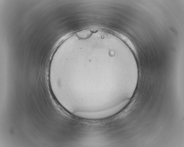 X0000115030954200912071046