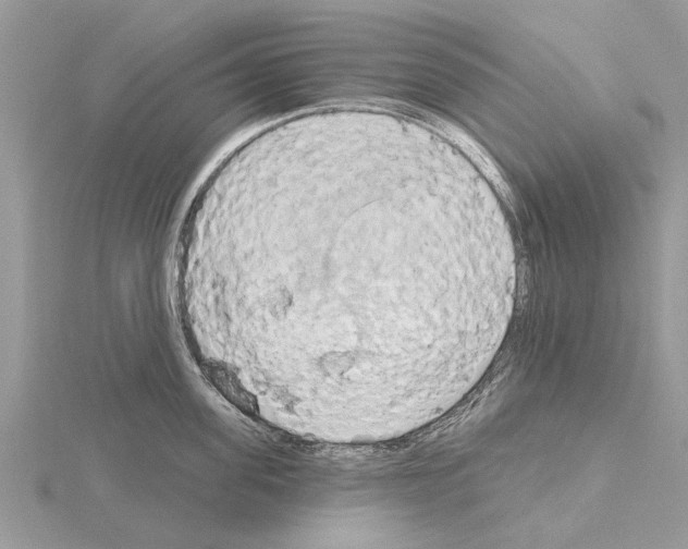 X0000115030955200912071046