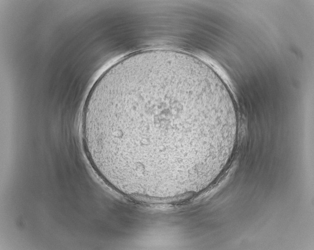 X0000115030957200912071046