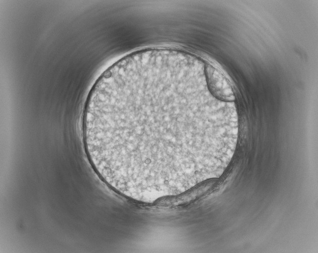 X0000115030959200912071046