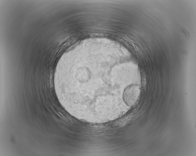 X0000115030964200912071045