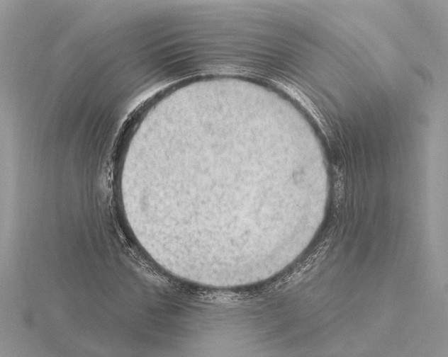 X0000115030971200912071045