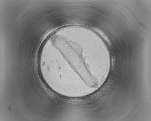 X0000115030972200912071045