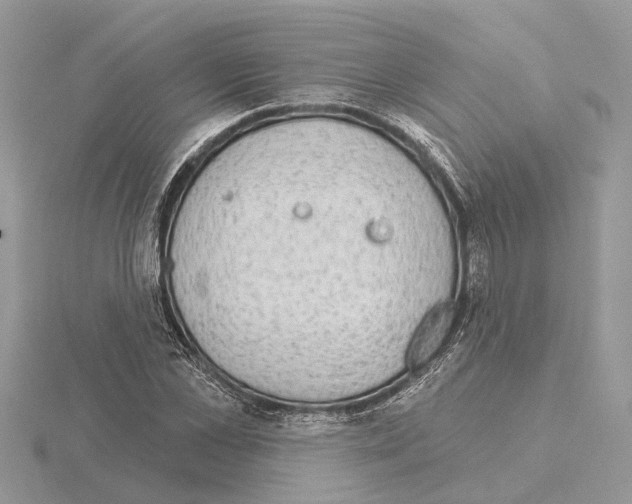 X0000115030973200912071045