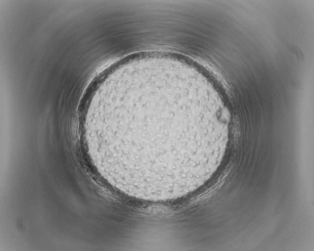 X0000115030974200912071045