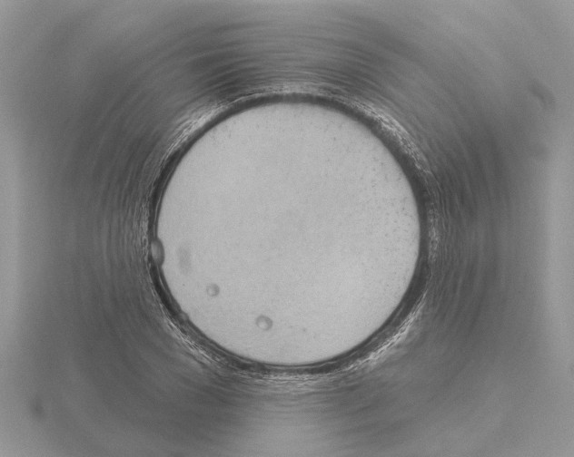 X0000115030977200912071045