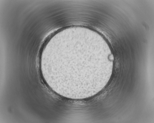 X0000115030979200912071045