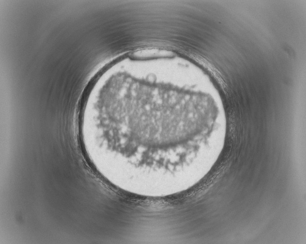 X0000115030983200912071045