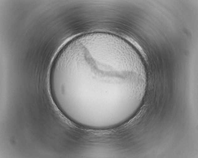 X0000115030984200912071045