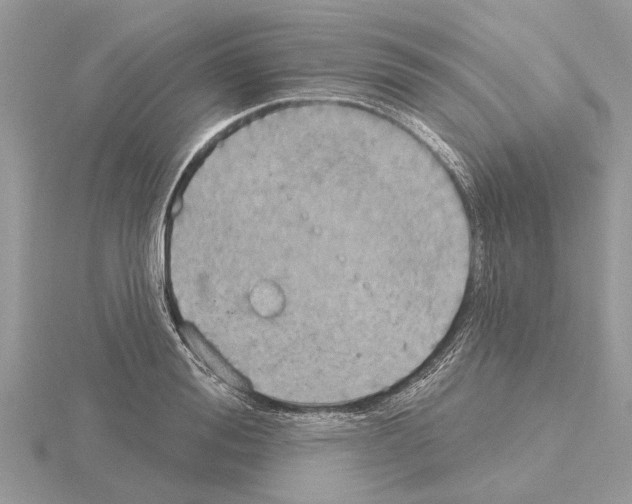 X0000115030988200912071045